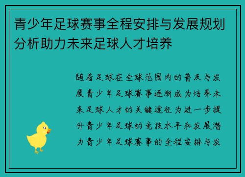 青少年足球赛事全程安排与发展规划分析助力未来足球人才培养