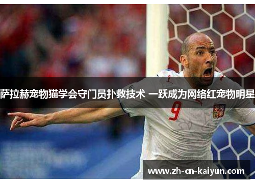 萨拉赫宠物猫学会守门员扑救技术 一跃成为网络红宠物明星