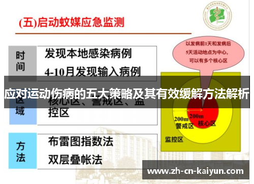 应对运动伤病的五大策略及其有效缓解方法解析