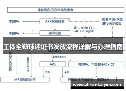 工体全勤球迷证书发放流程详解与办理指南