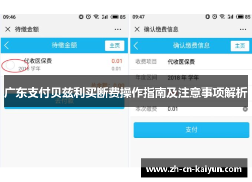 广东支付贝兹利买断费操作指南及注意事项解析